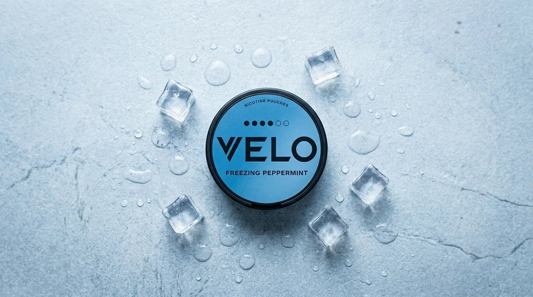 Velo Freezing Peppermint Max review: Polished Power