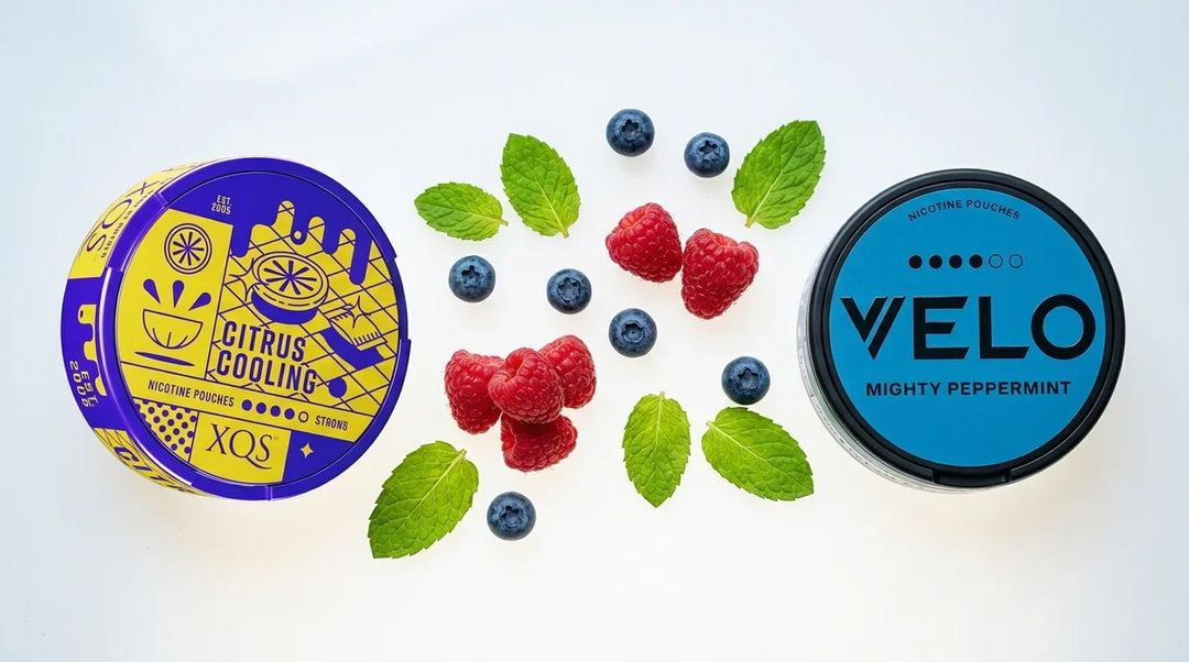 XQS vs Velo: The Flavor Battle for Your First Can
