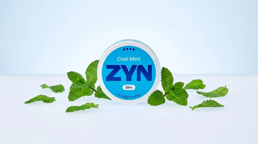 ZYN Cool Mint review: the mainstream benchmark