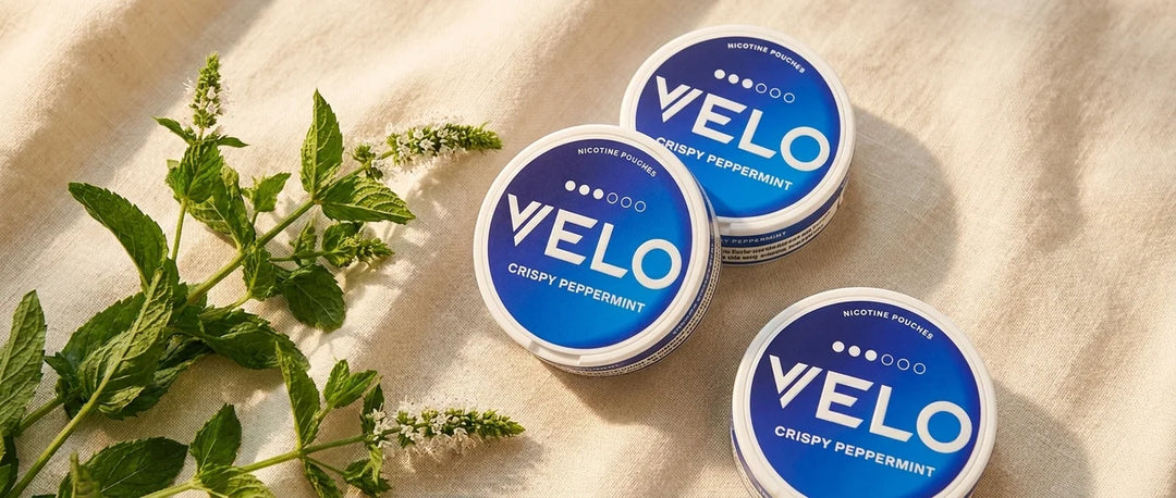 Best VELO Mint Flavors 2026