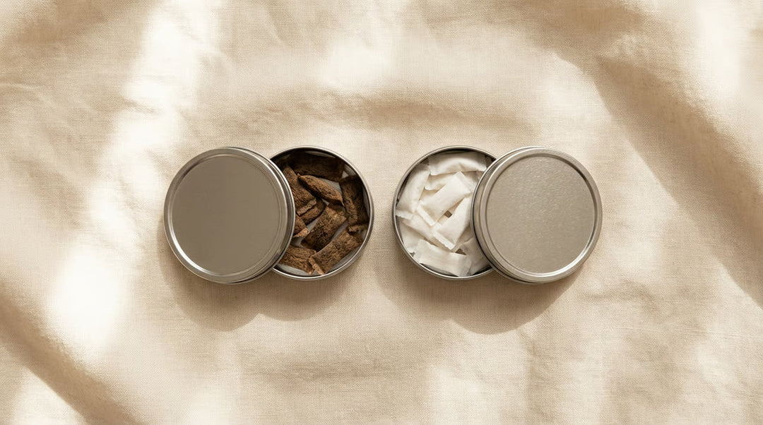 Snus vs Nicotine Pouches: What's the Difference?