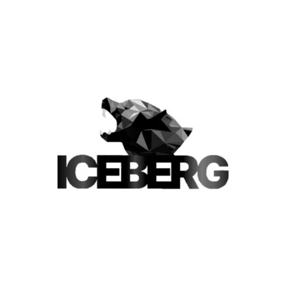 ICEBERG