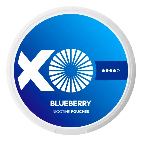 XO Blueberry nicotine pouches