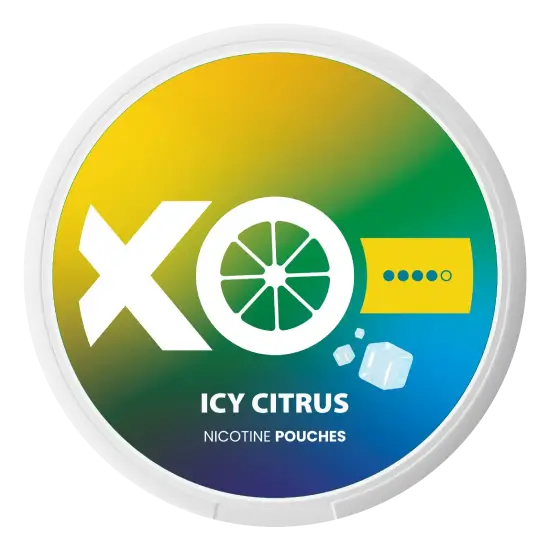 XO Icy Citrus nicotine pouches