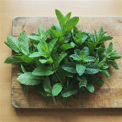 Mint